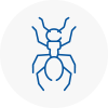 Ant Removals In Sandown