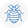 Bed Bug Extermination In Sandown