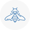 Bee Nest Removal Sandown