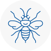 Sandown Hornet Nest Removals
