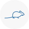 Mice Exterminators In Sandown