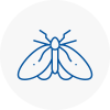 Moth Control Specialists In Sandown