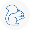 Sandown Rodent Removals