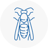 Sandown Wasp Nest Removal